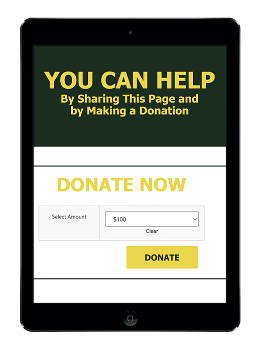 Online Donation Fundraising