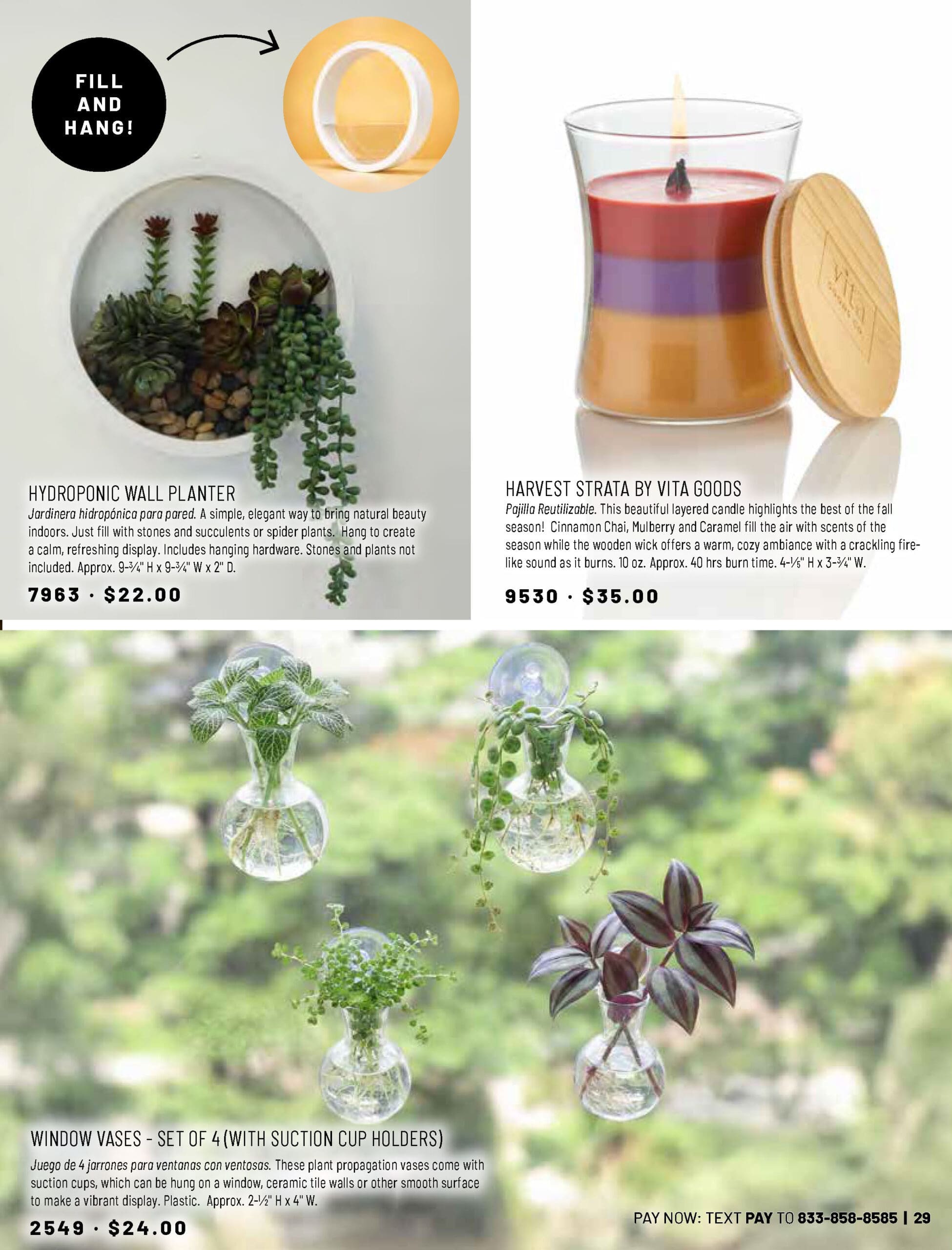 2026 Fall Catalog_Page_29