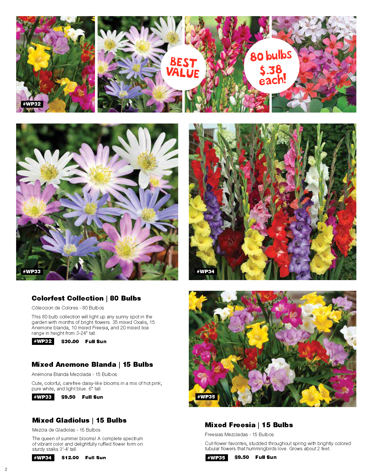 Spring Flower Fundraiser
