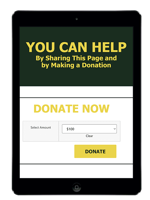 Online Donation Fundraising